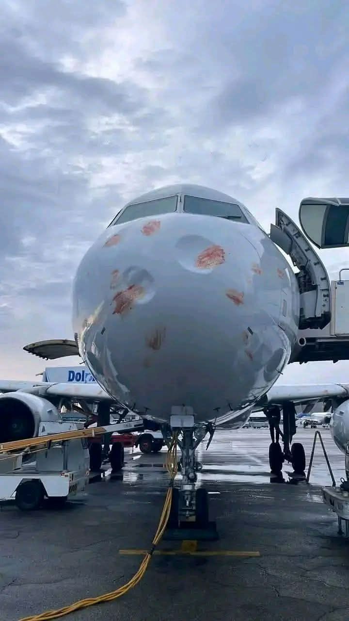 המטוס לאחר פגיעת העופות