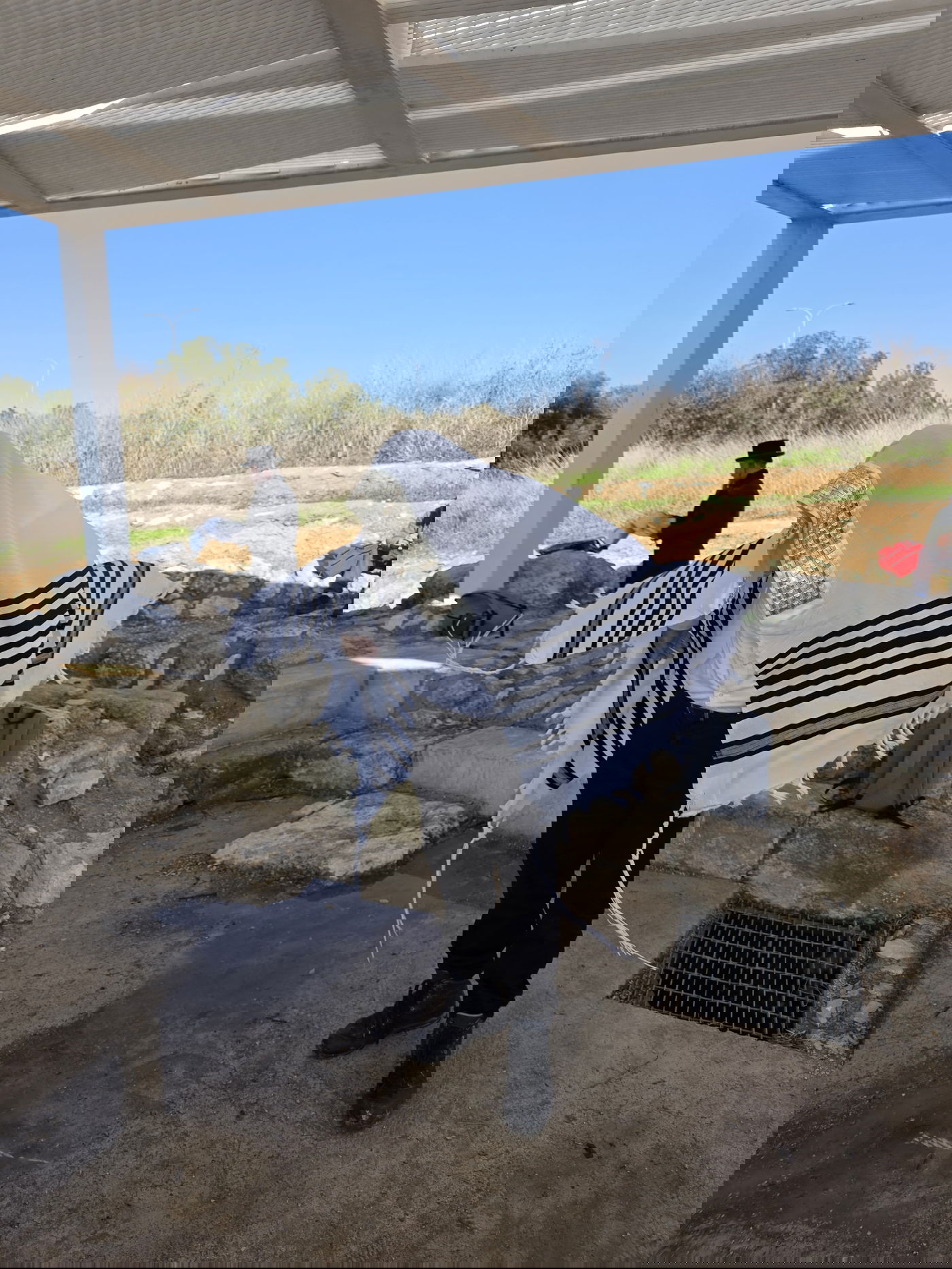 חנוכה בבית הכנסת העתיק אום אל-עומדן שבמודיעין