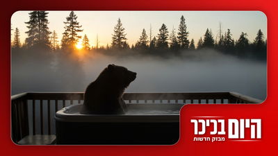 איראן מאיימת: מוכנים למלחמה | גם דובים נהנים בג'קוזי • צפו