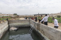 מבקרים ביריחו, אתמול