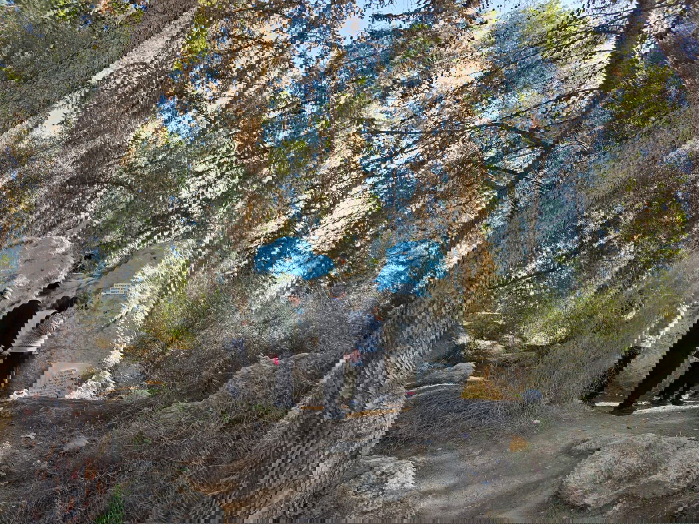 קבר מתתיהו ביער בן שמן ב'זאת חנוכה'