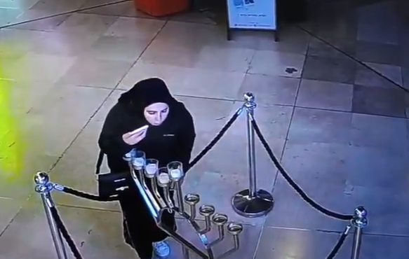 האישה שנעצרה בשעת פעולה