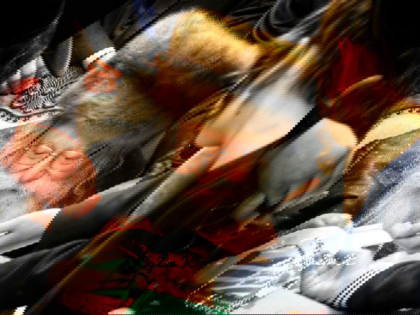 האדמו"ר מפשעמישל מאנסי בחלוקת מעות חנוכה