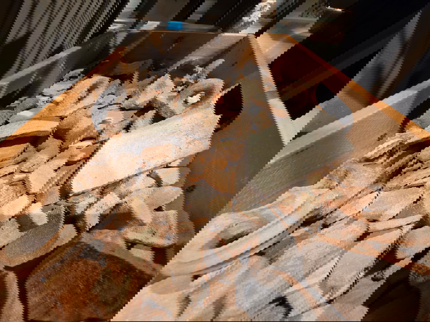 הביקור במוזיאון מורשת החשמונאים במודיעין