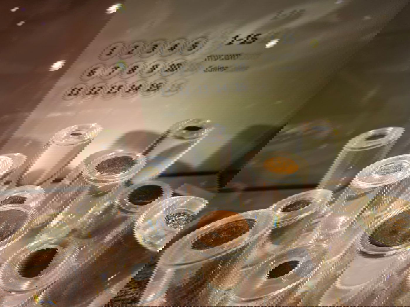 הביקור במוזיאון מורשת החשמונאים במודיעין