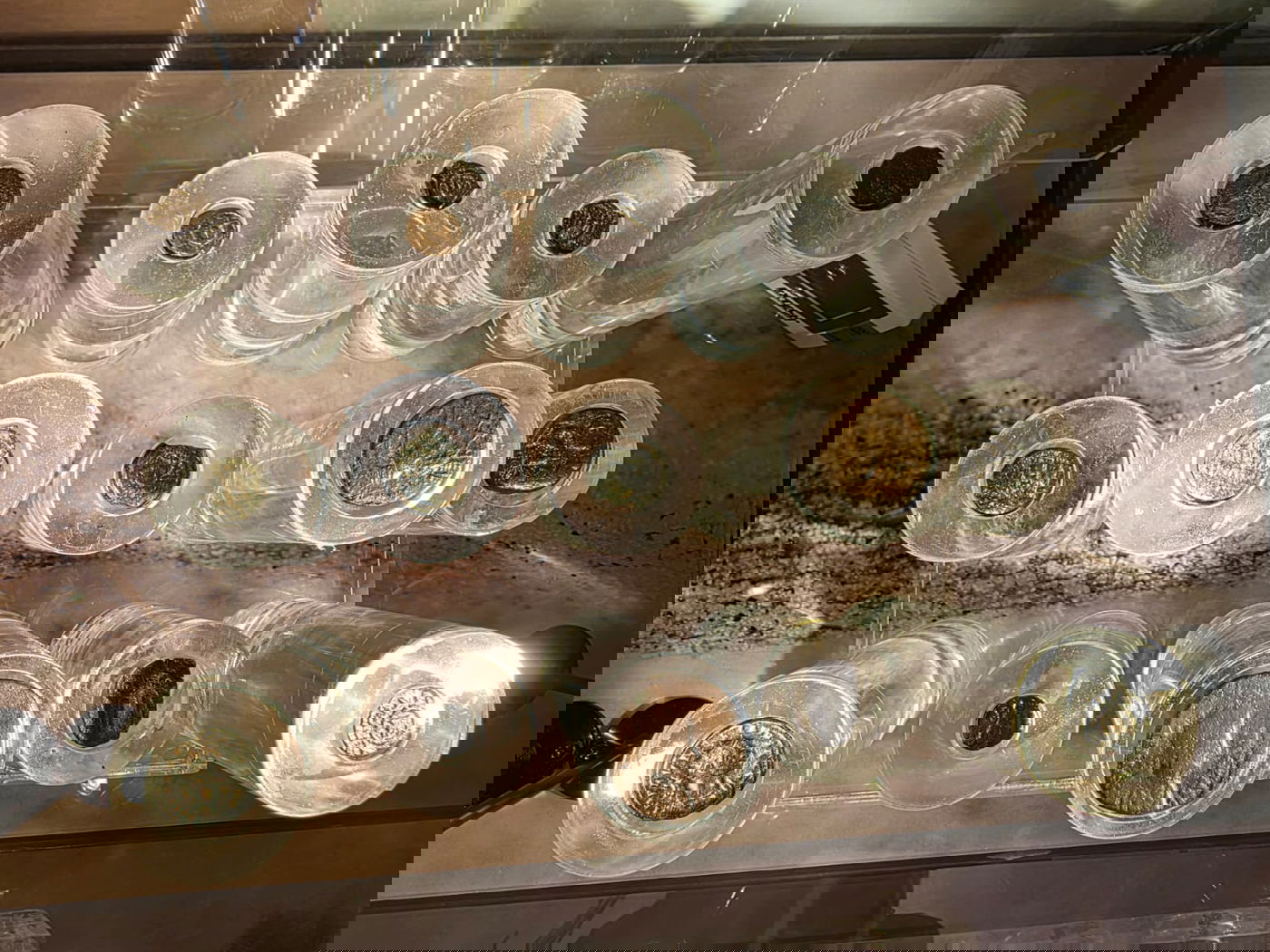 הביקור במוזיאון מורשת החשמונאים במודיעין