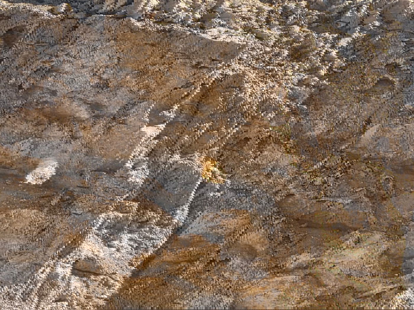 הסלע המואר באור השמש בהר כרכום