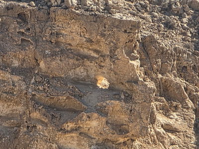 הסלע המואר באור השמש בהר כרכום