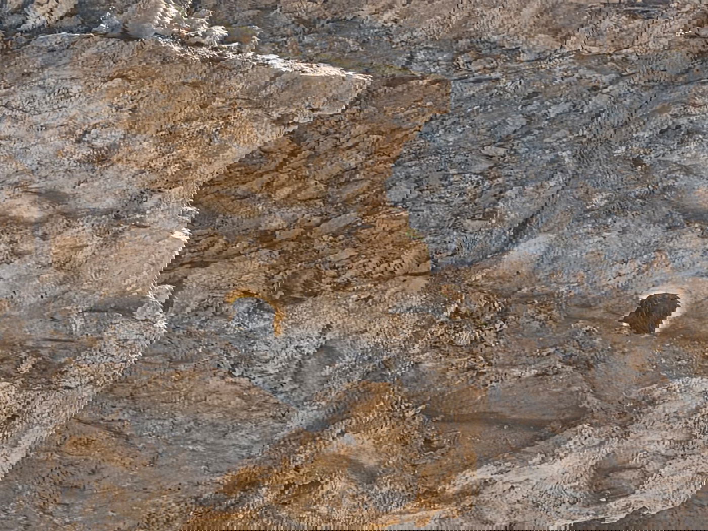 הסלע המואר באור השמש בהר כרכום