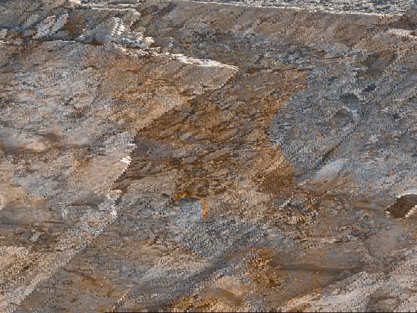 הסלע המואר באור השמש בהר כרכום