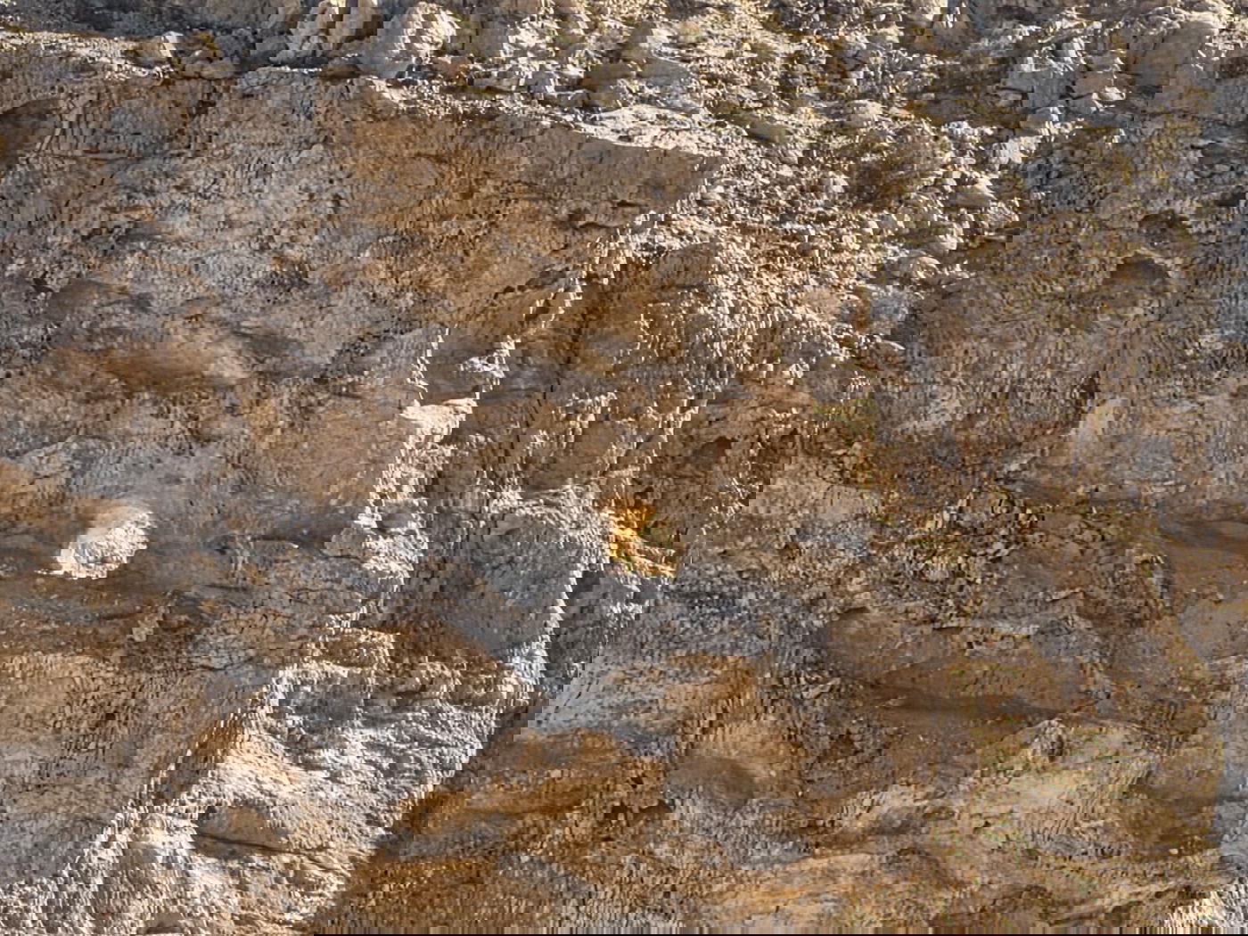 הסלע המואר באור השמש בהר כרכום