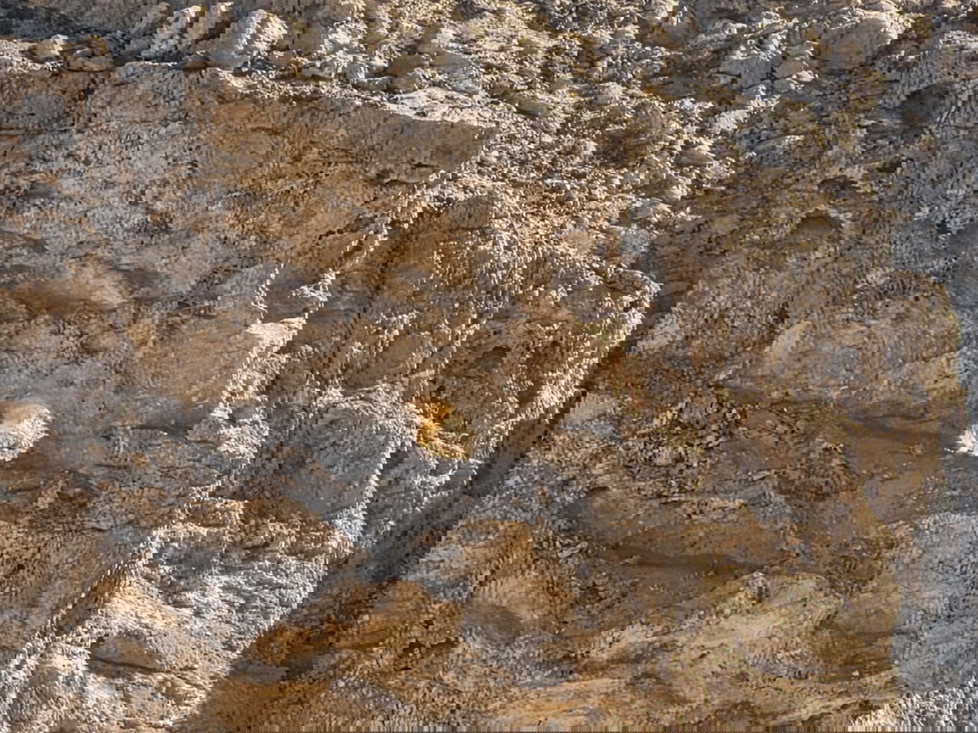 הסלע המואר באור השמש בהר כרכום