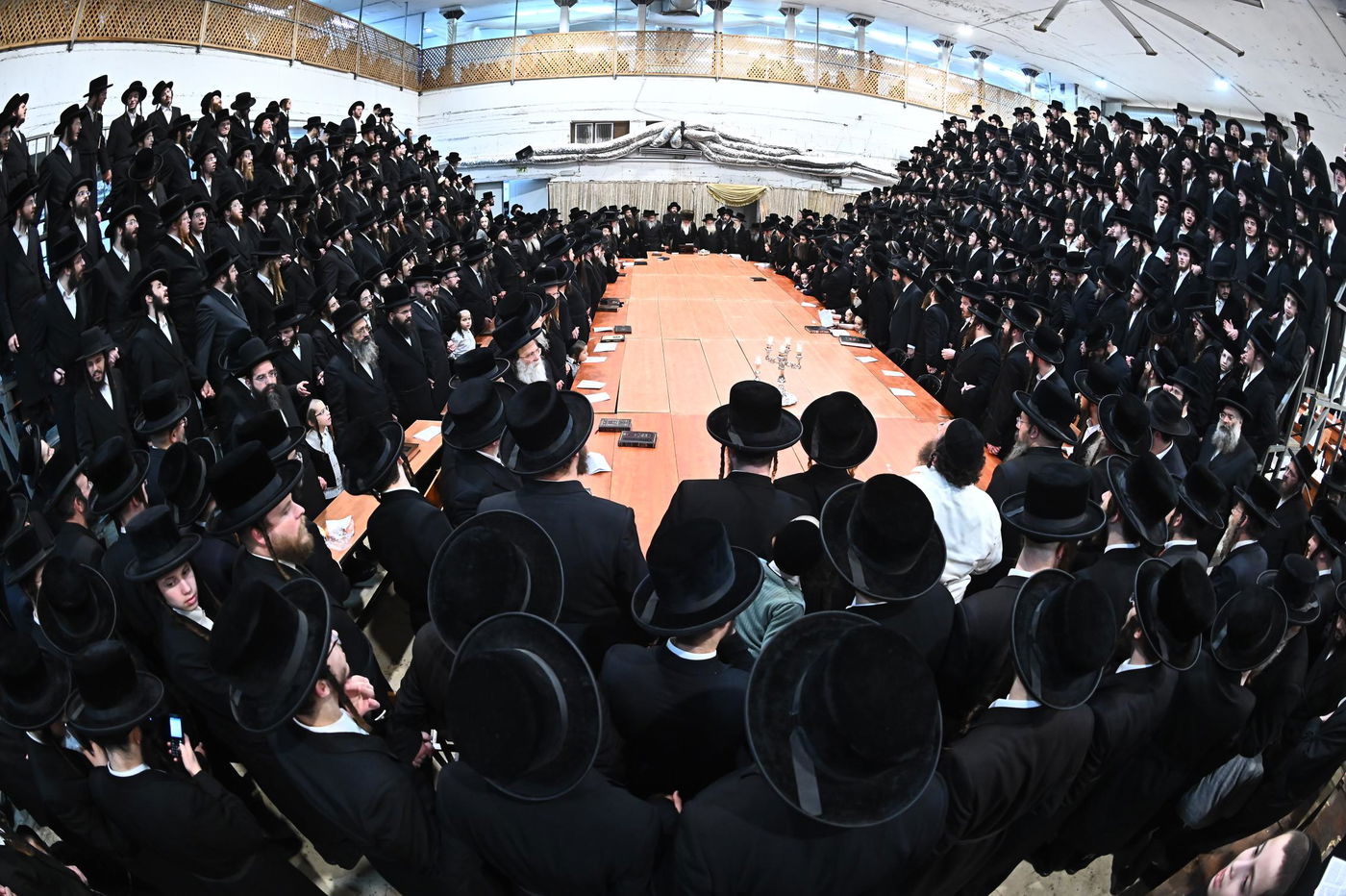 זאת חנוכה בחצה"ק מכנובקא בעלזא