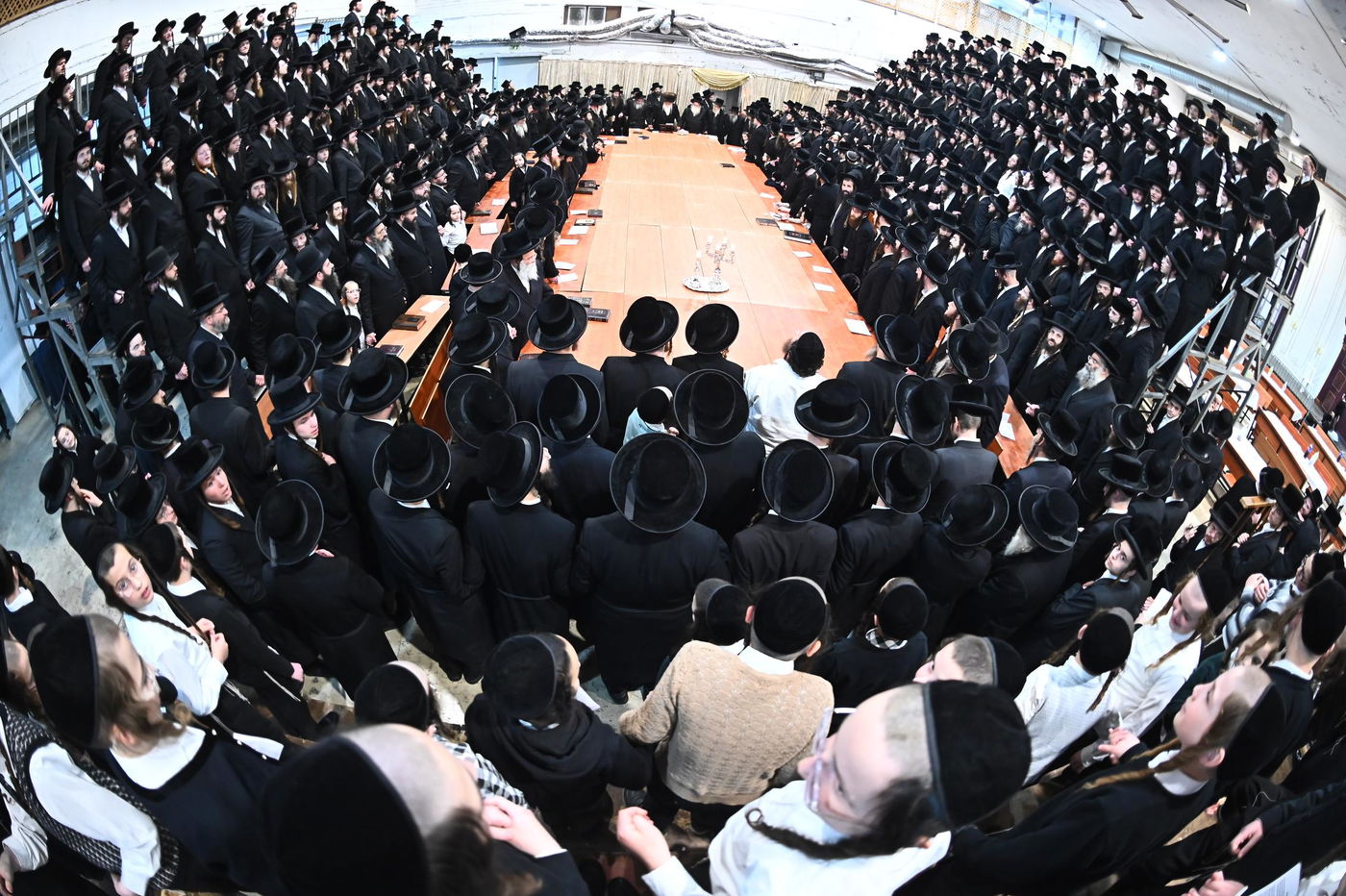 זאת חנוכה בחצה"ק מכנובקא בעלזא