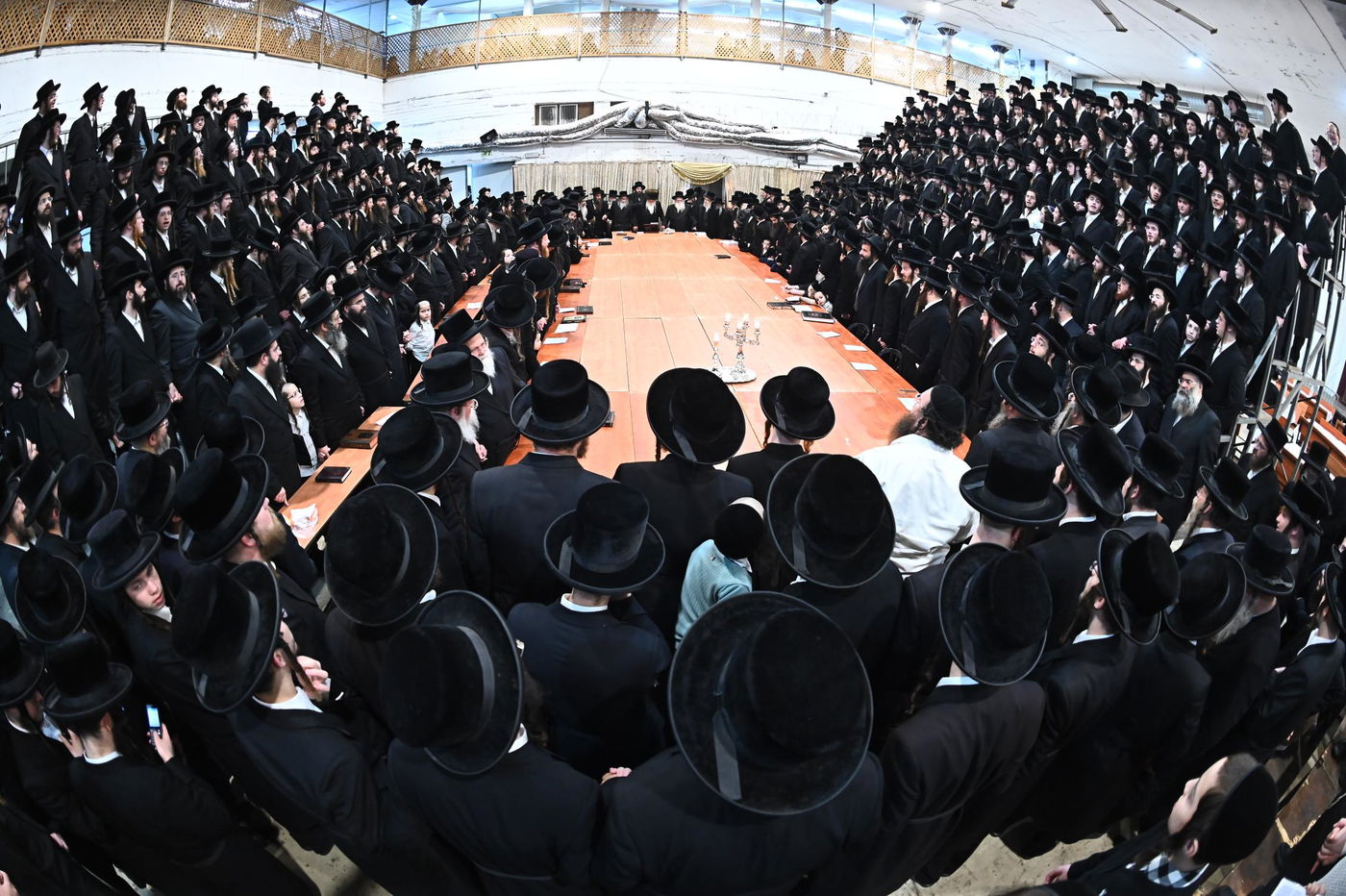 זאת חנוכה בחצה"ק מכנובקא בעלזא