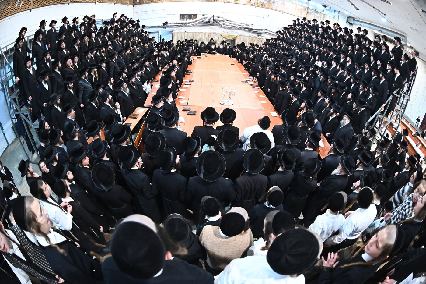 זאת חנוכה בחצה"ק מכנובקא בעלזא