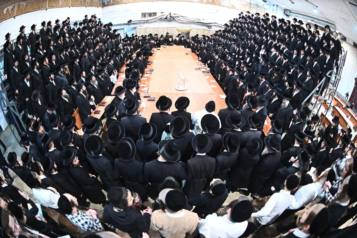 זאת חנוכה בחצה"ק מכנובקא בעלזא