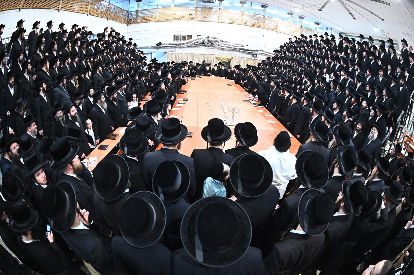 זאת חנוכה בחצה"ק מכנובקא בעלזא