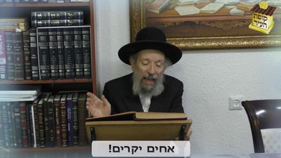 הגר"י קולדצקי, חתנו של הגר"ח קנייבסקי זצוק"ל