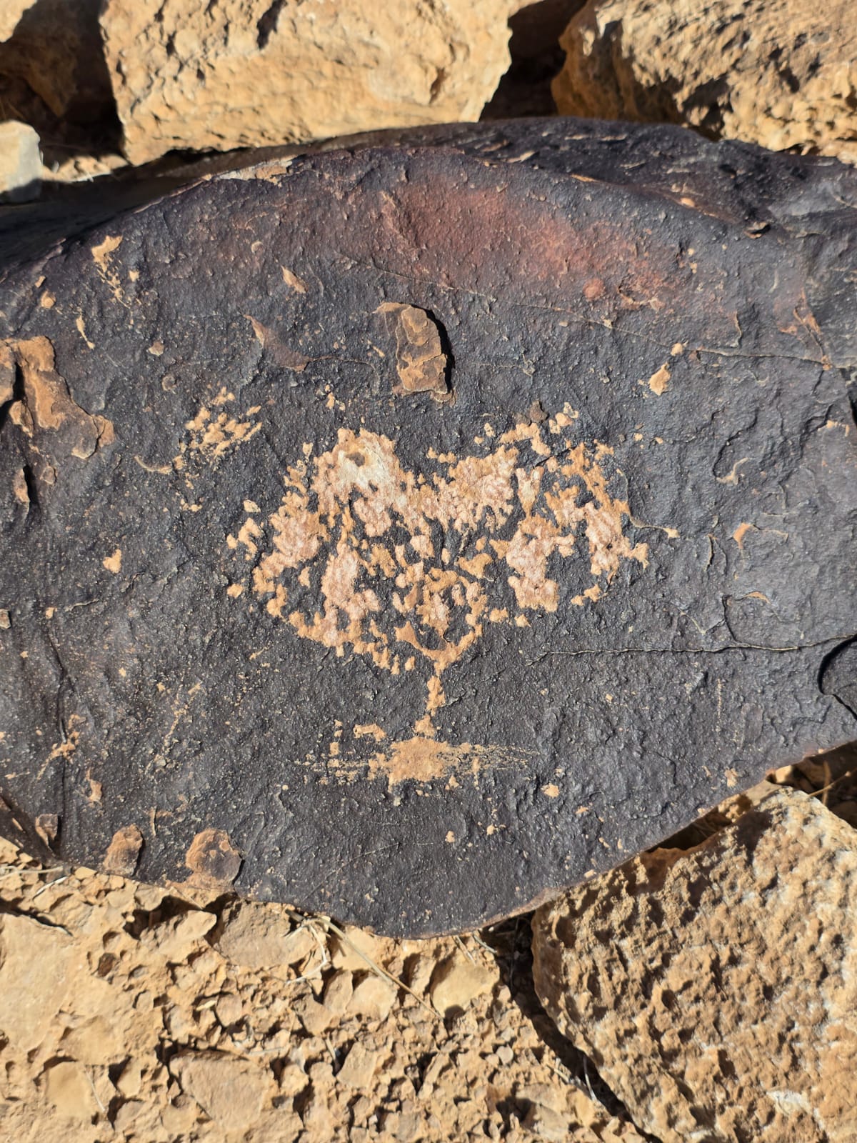 ציור הסלע הנדמה למנורה