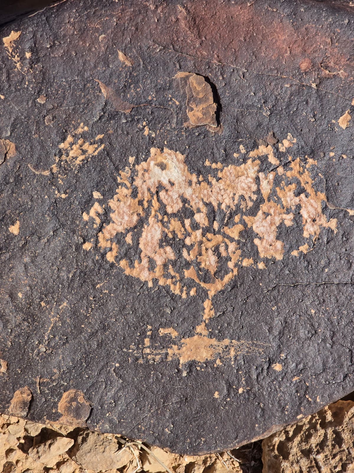 ציור הסלע הנדמה למנורה