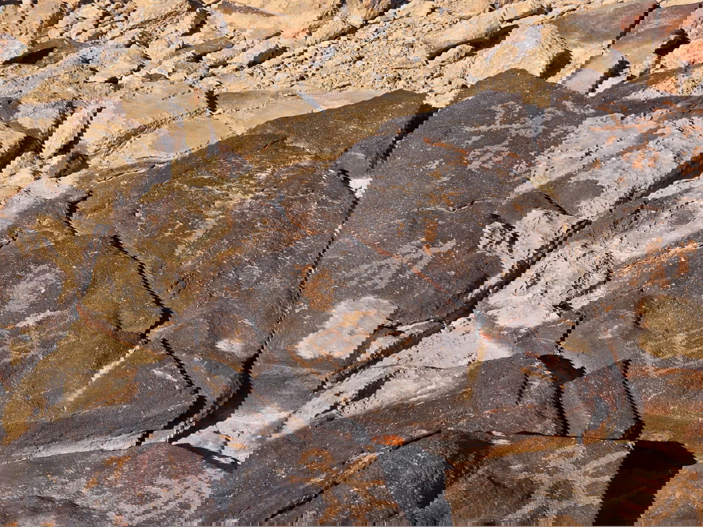 ציור הסלע הנדמה לחוקרים כלוחות הברית