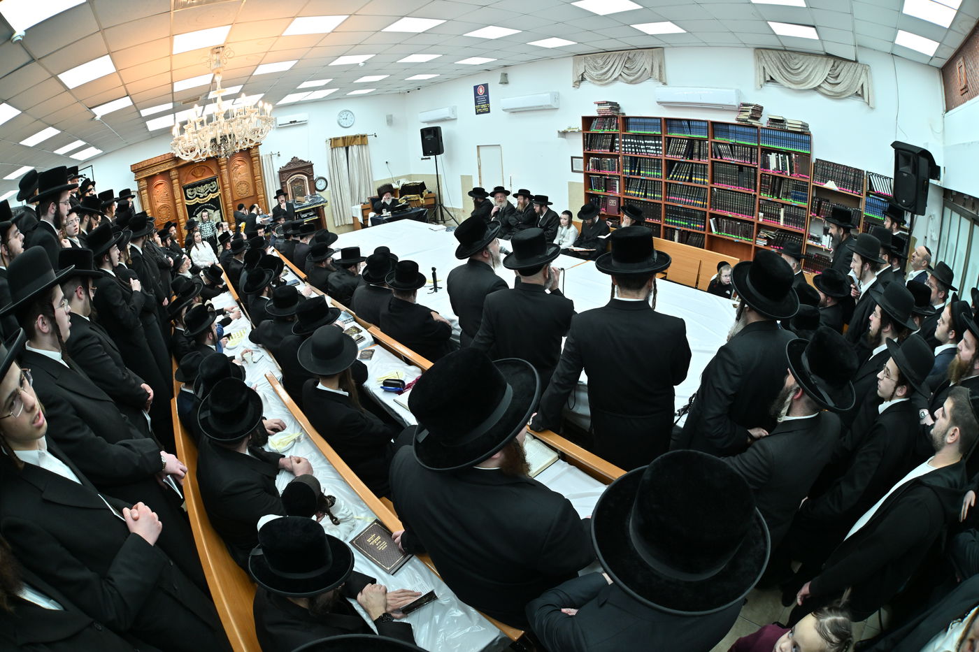 חנוכה בחצה"ק סאסוב