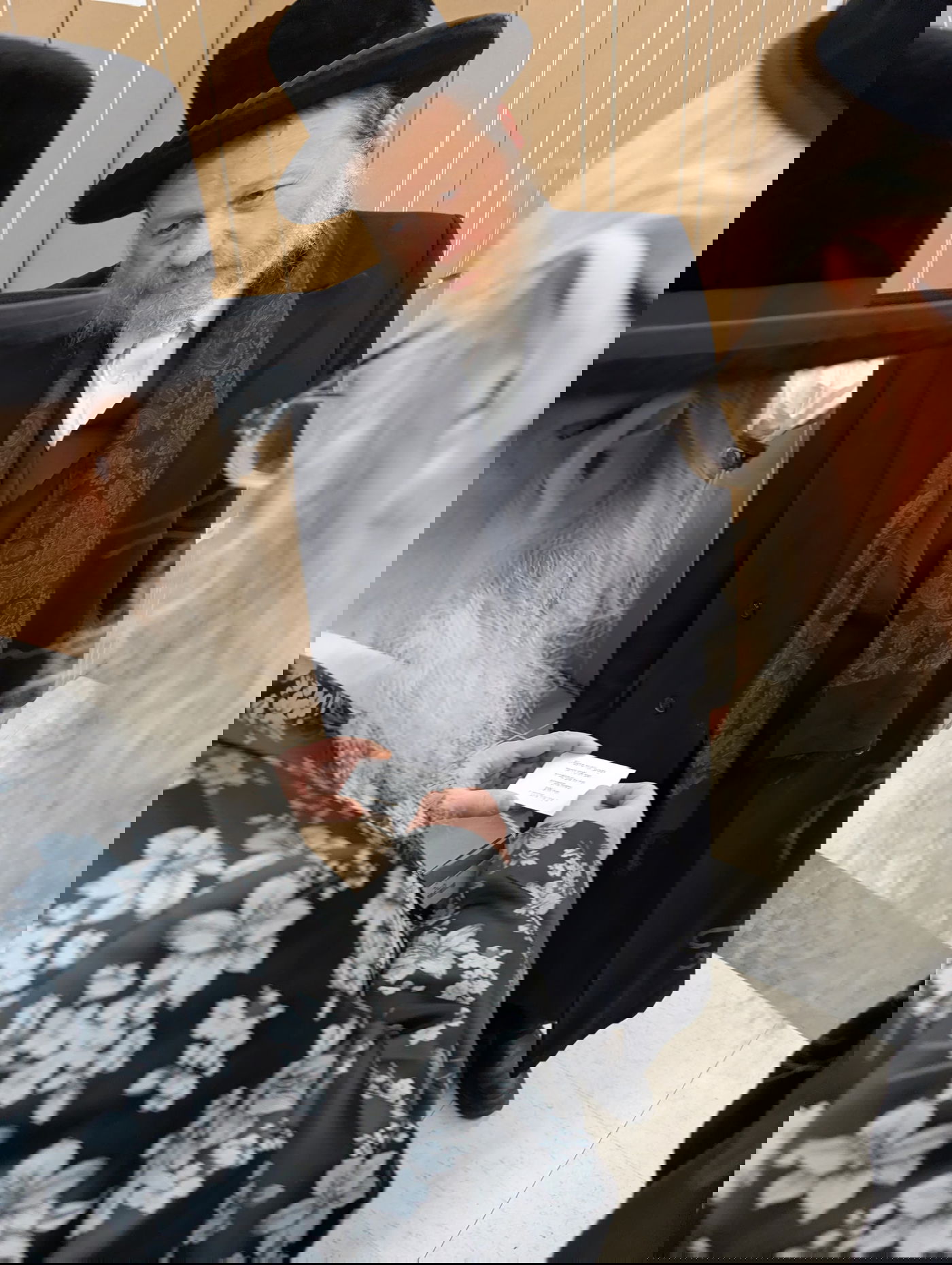 הרב חיים ברוין אצל האדמו"ר מסאטמר 