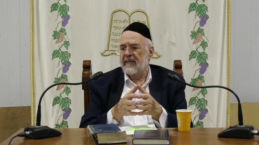 השיעור לפרשת ויגש