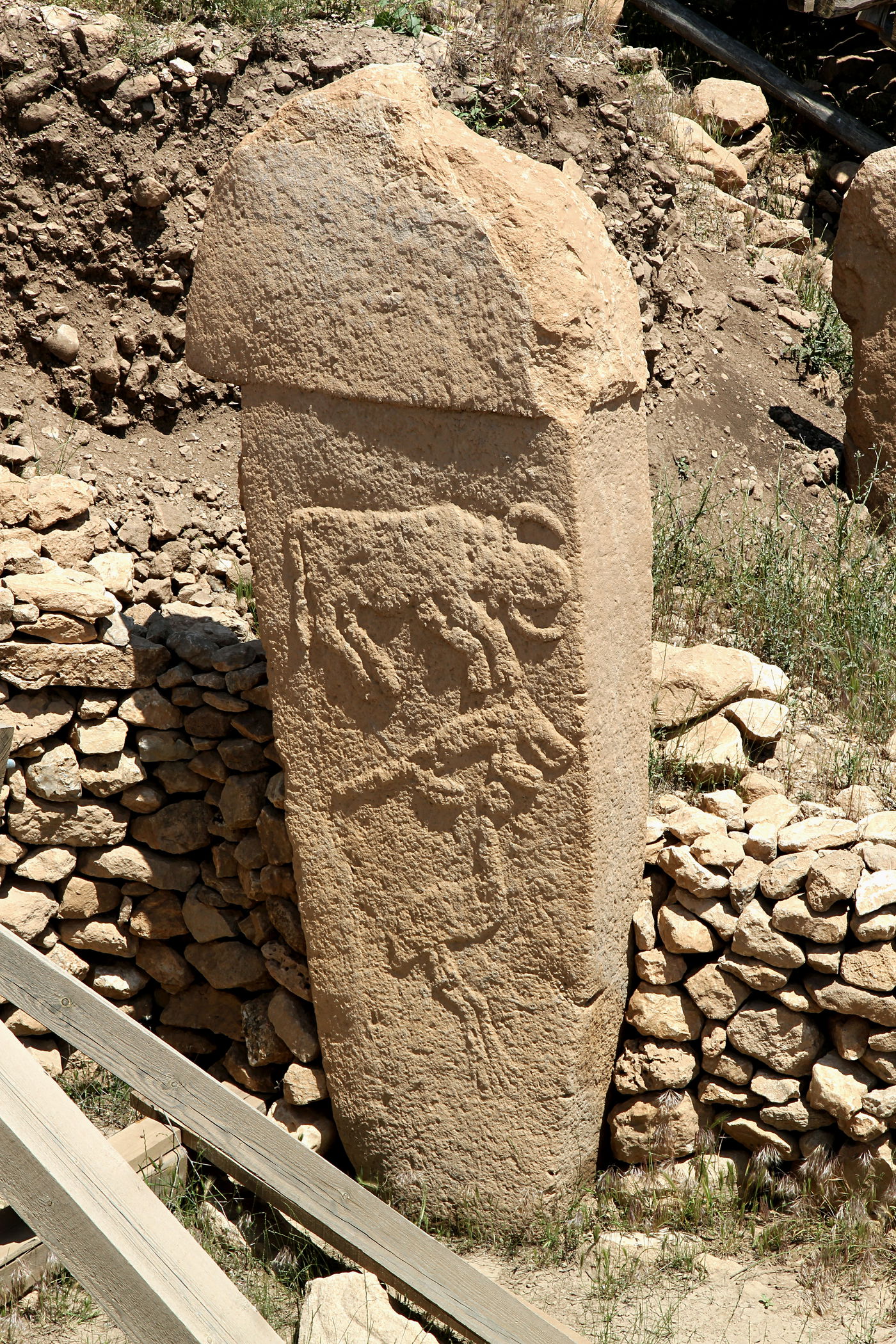 ציורי בעלי חיים על עמוד באתר