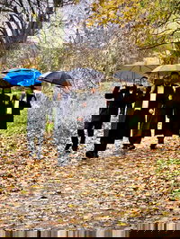 התקנת העירוב בציריך שבשווייץ