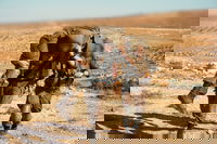 תיעוד מיוחד: הלוחמים התאמנו לאירוע רב נפגעים ולחדירת מחבלים