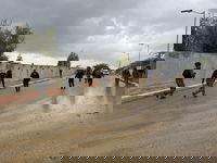 פעילות המשטרה בתראבין