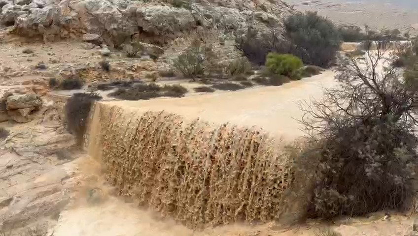 נחל ממשית 