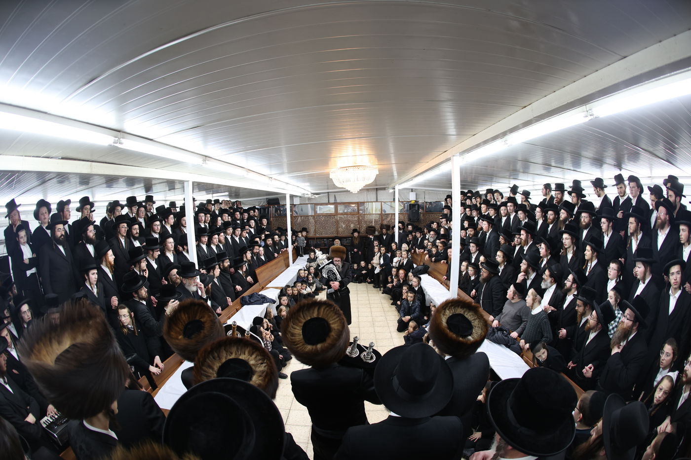 הכנסת ספר תורה לביהמ"ד סקולען בעיה"ק ירושלים 