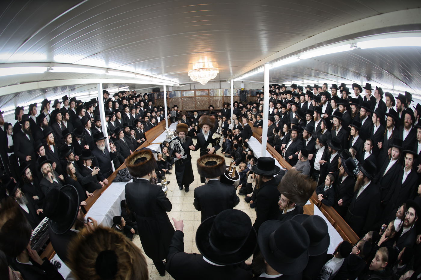 הכנסת ספר תורה לביהמ"ד סקולען בעיה"ק ירושלים 