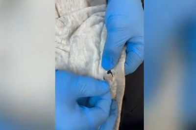 חומר החשוד כסם מסוכן נתפס בתפר של המכנסיים | כך סוכלה הברחה לכלא