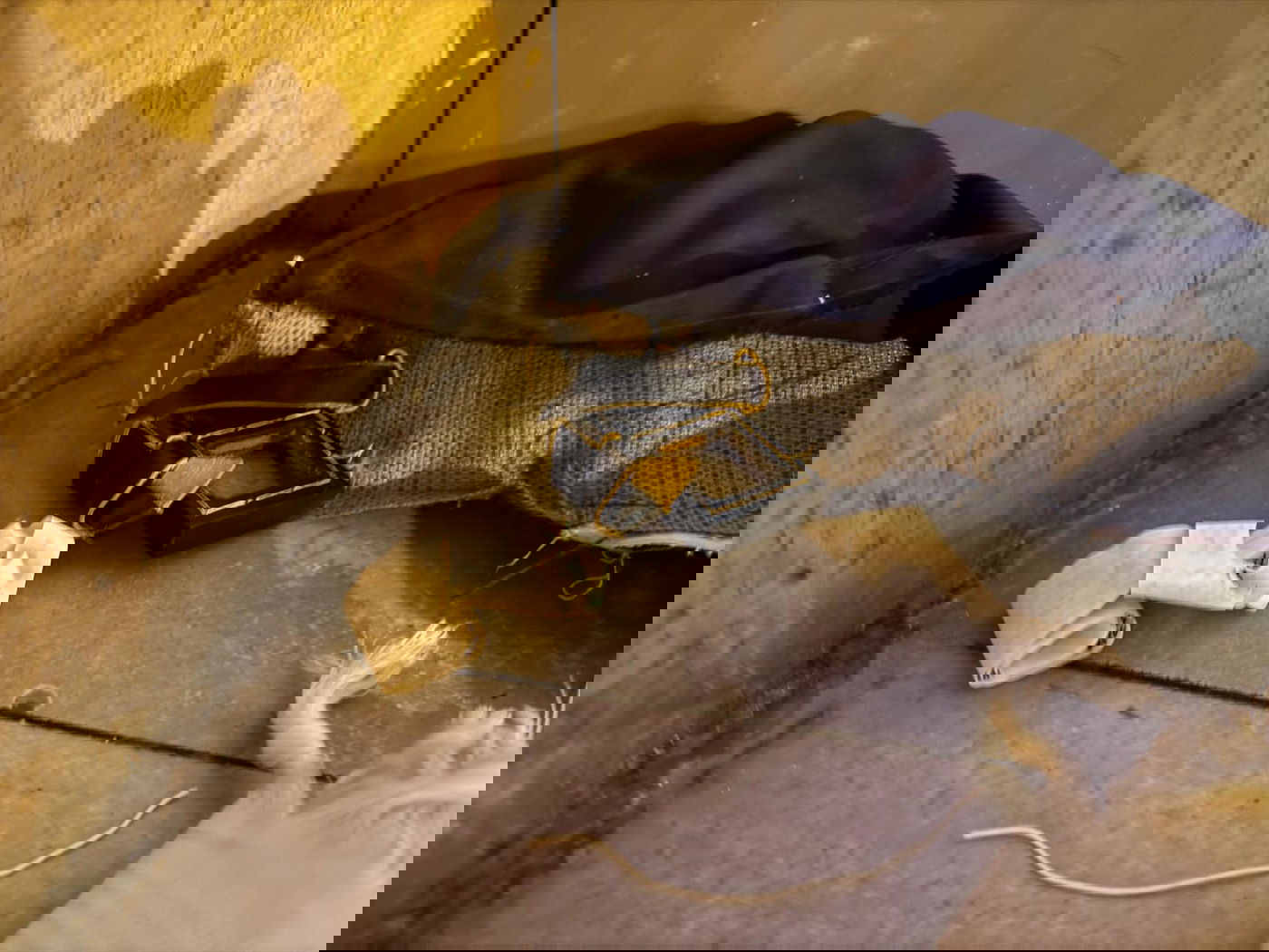 בית הכנסת 'בית יוסף', לפנות בוקר