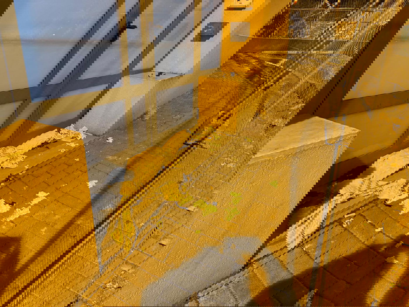 בית הכנסת 'בית יוסף', לפנות בוקר