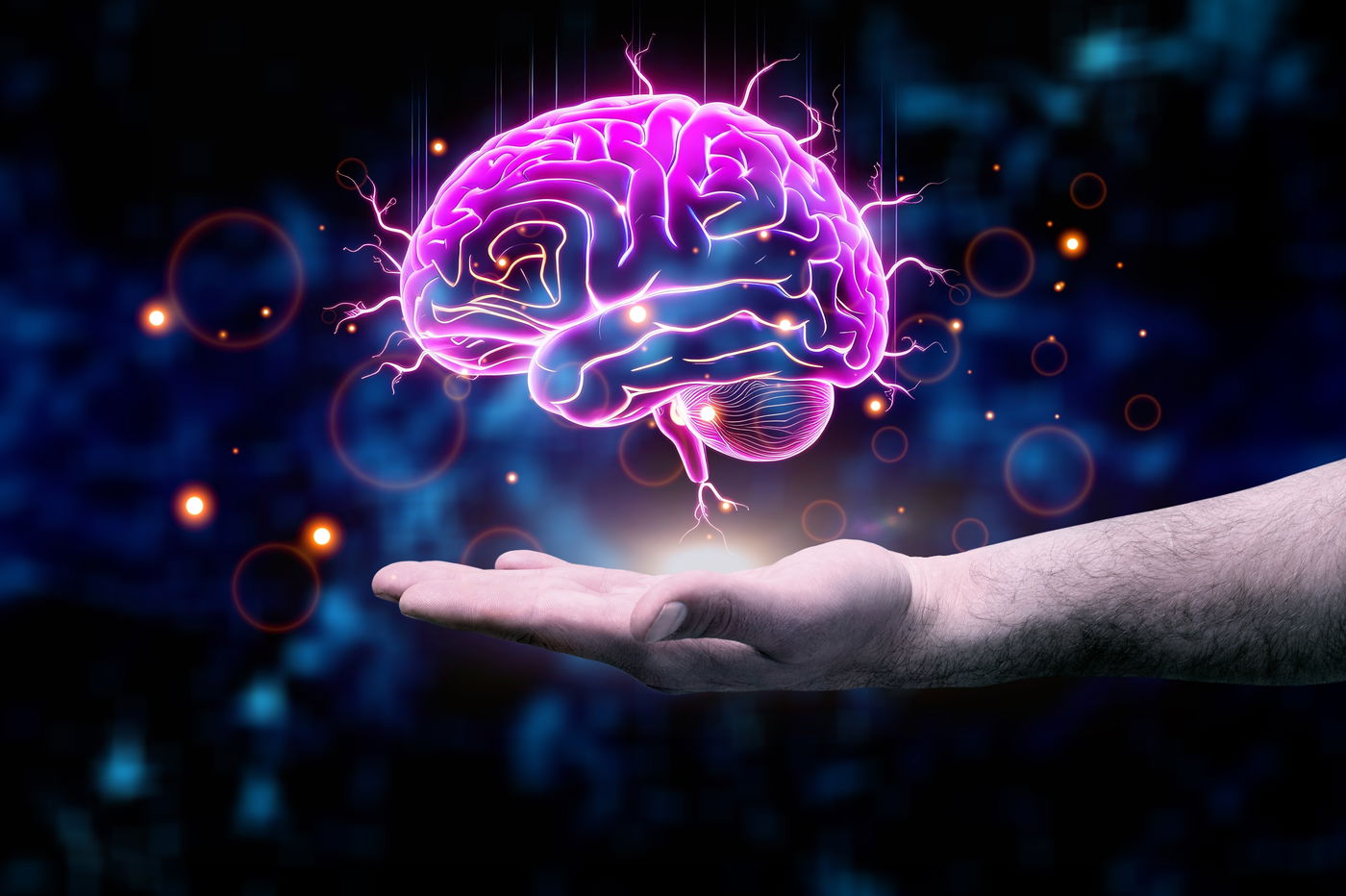 מסייע רבות בחקר המוח. הדמייה של מוח 