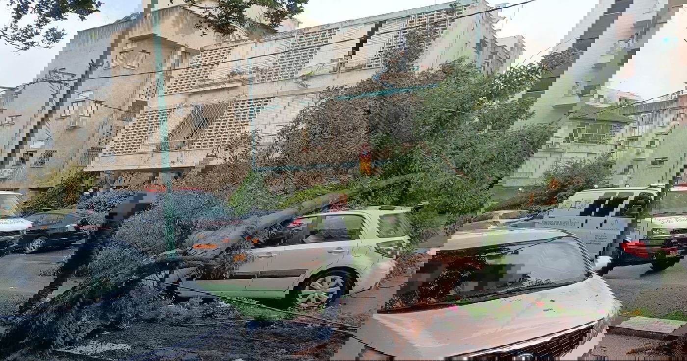 קריסת העץ על הרכב בהרצליה