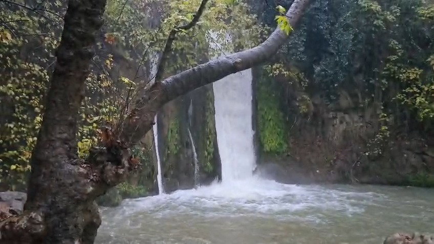 הזרימה במפל הבניאס בשעה 08:00 בבוקר