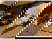 זעזוע בגבעתיים | אלמוני השחית תפילין וסידורים בכניסה לבית כנסת: "פגיעה בליבו של העם היהודי כולו"