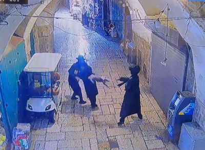 בחזרה מתפילה בכותל: צעיר התעלל בחתול ונעצר | צפו בתיעוד המקומם