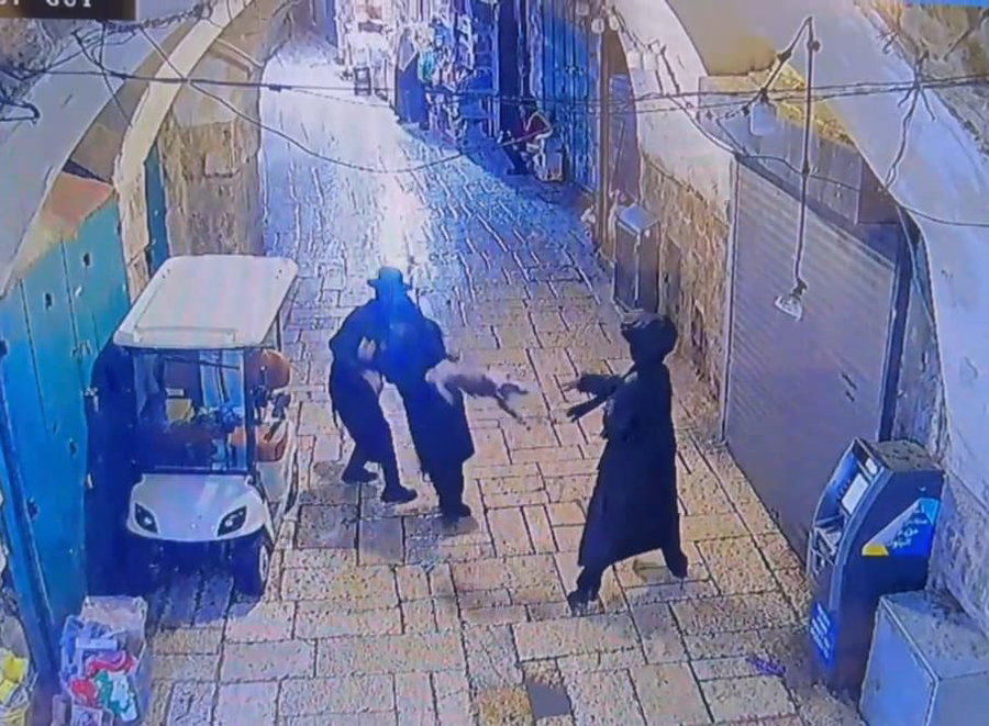 בחזרה מתפילה בכותל: צעיר התעלל בחתול ונעצר | צפו בתיעוד המקומם