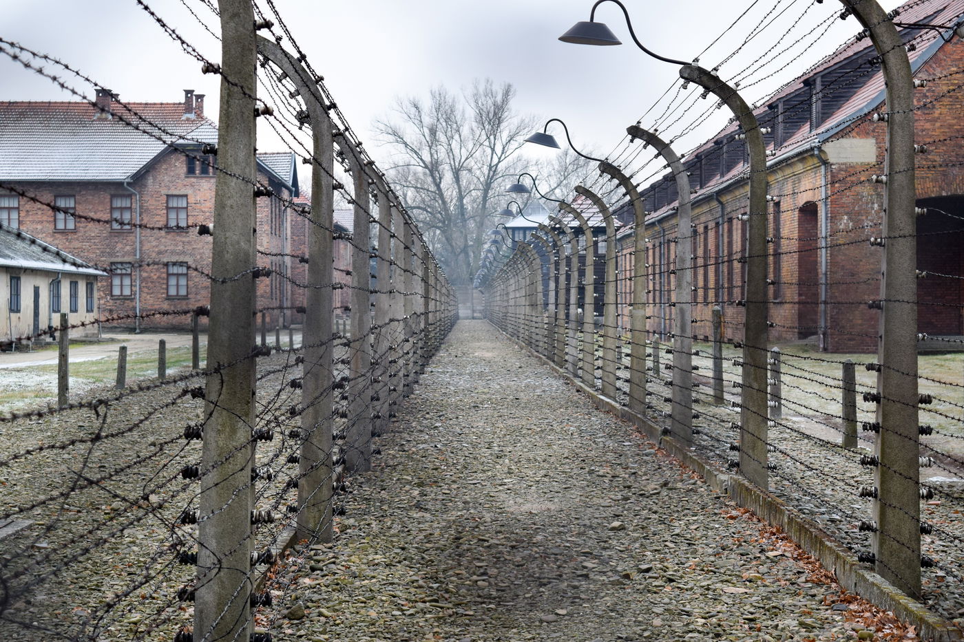 אילוסטרציה