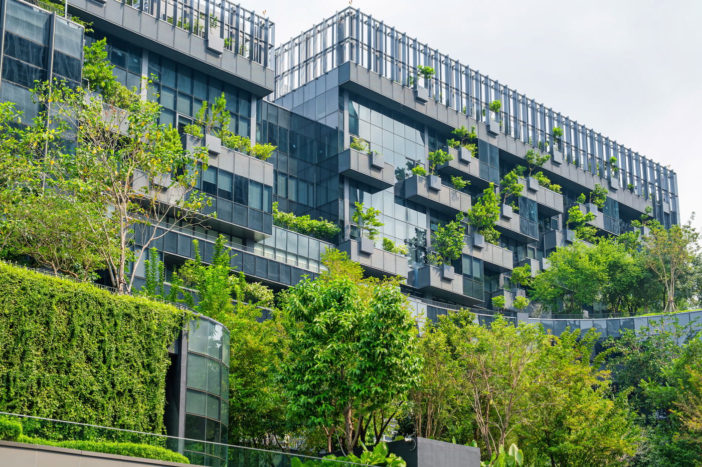 בנין משרדים בבנקוק שנבנה בעיצוב ביופילי