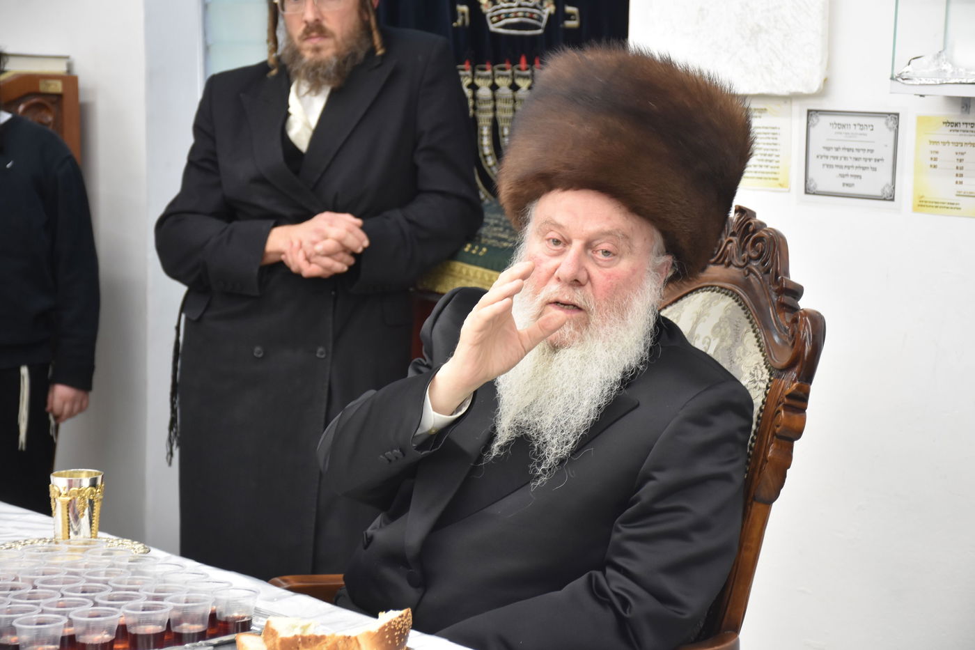 הילולא קדישא בוואסלוי