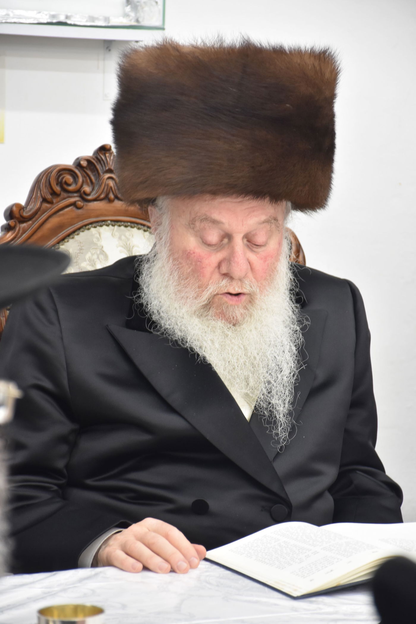 הילולא קדישא בוואסלוי