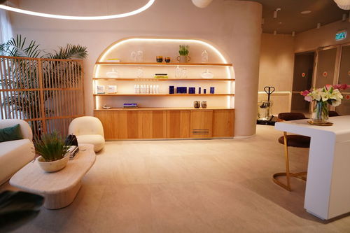 אילוסטרציה